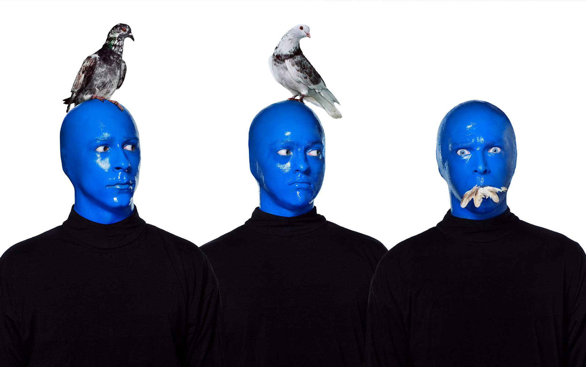 BMG_birds